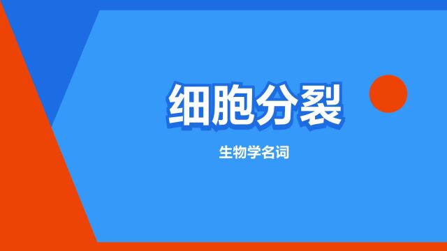 “细胞分裂”是什么意思?