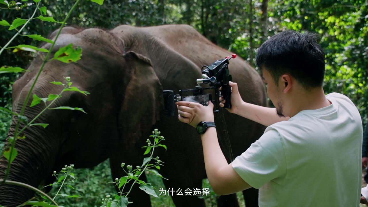 拍素人更要用手机,导演手把手教你拍手机大片!