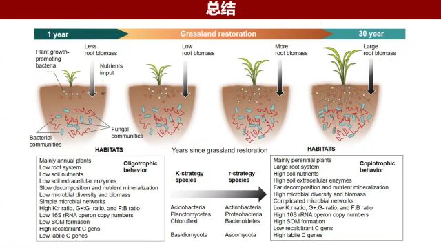 iMeta|中科院地球环境研究所王云强组解析了草地土壤微生物生活史策略