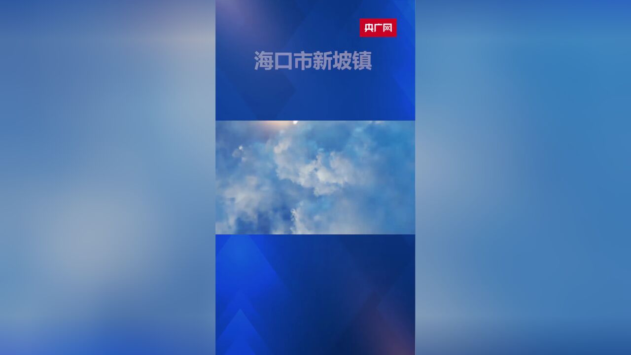 海口市新坡镇:绘就党建产业“同心圆”