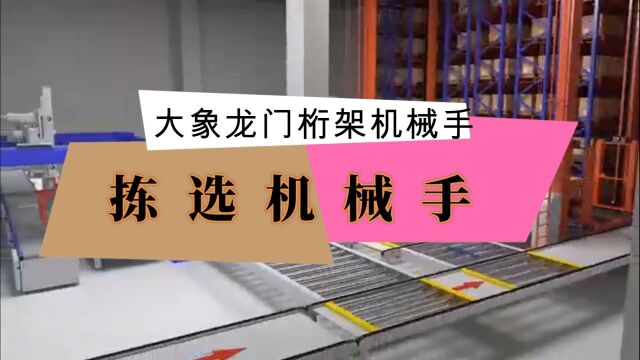 智能自动化设备拣选机械手桁架机械手应用工业搬运机器人