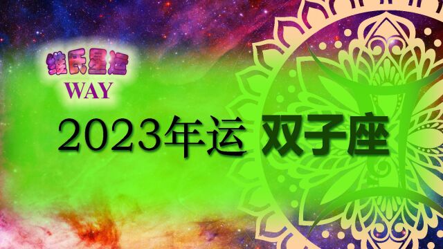 维氏星运2023双子座年运