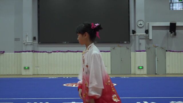 郭奕彤规定太极拳3x264