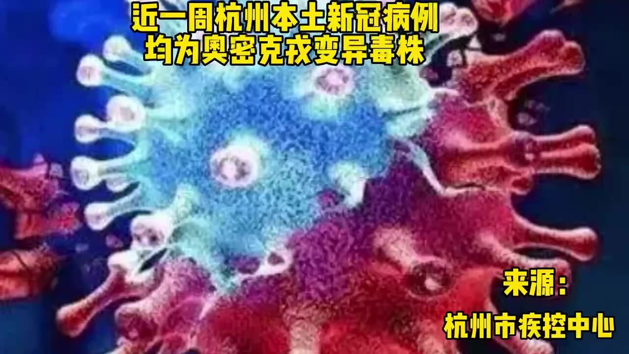 杭州市疾控中心:杭州在入境人员中发现XBB毒株 警惕二次感染