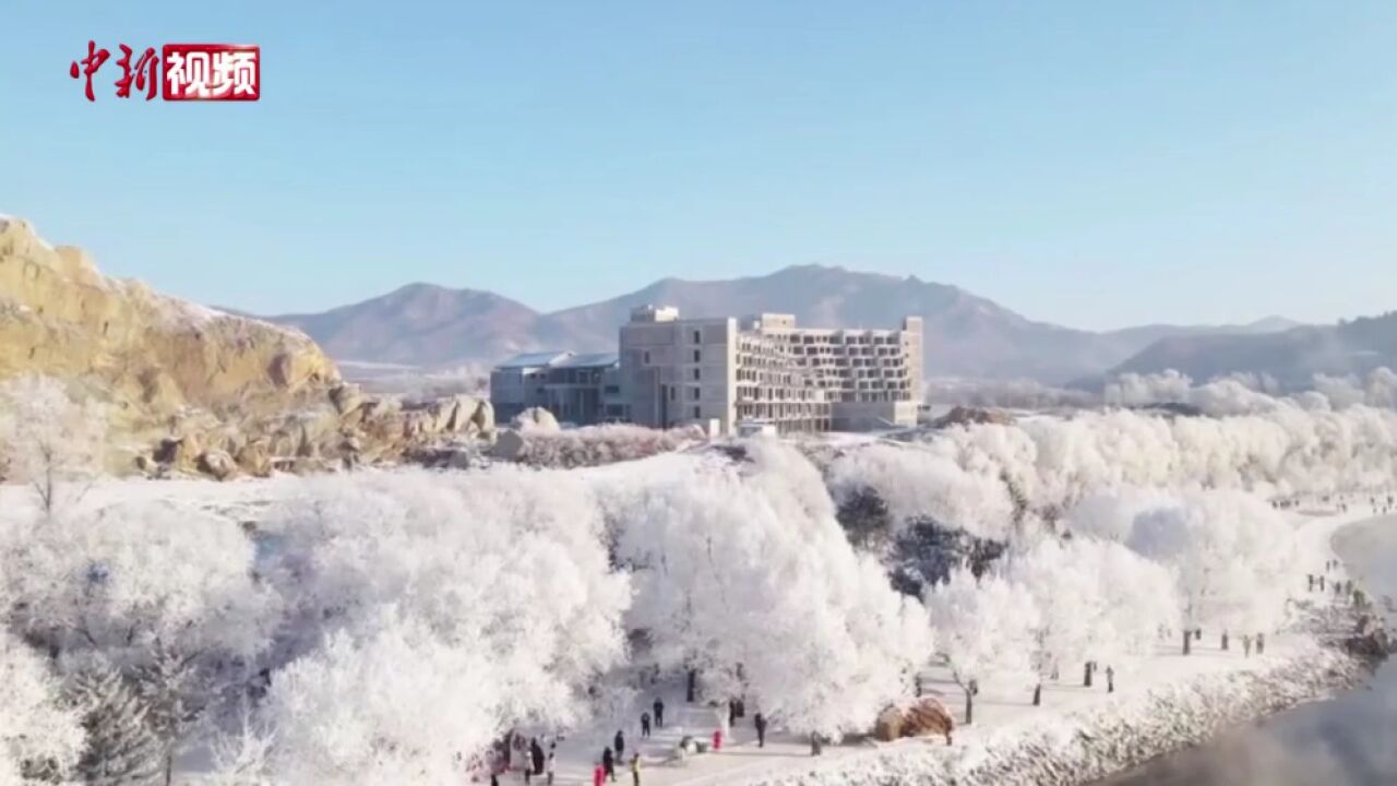 蔚为壮观!中国“雾凇之都”迎来新年首场大范围雾凇