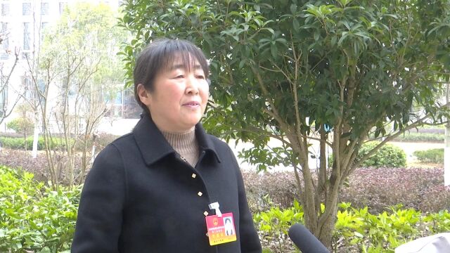 市人大代表、金锣山村党支部书记 刘志兰