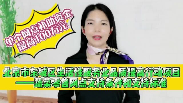 北京市东城区生活性服务业项目蔬菜零售网点支持条件和支持标准