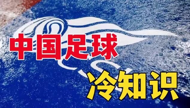 中国足球十大冷知识,最后一个颠覆你三观!#足球 #中国足球 #足协杯