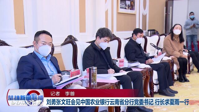 刘勇张文旺会见中国农业银行云南省分行党委书记、行长求夏雨一行