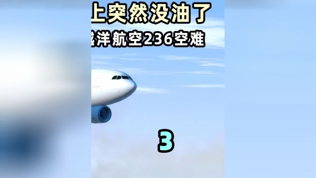 空难原因浮出水面,地面维修人员和机长都有责任,越洋航空236空难事件 03