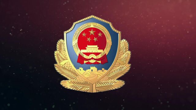 中国人民警察标志体系警校微课