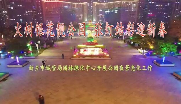 火树银花靓公园 张灯结彩迎新春 新乡市城管局园林绿化中心开展公园夜景亮化工作