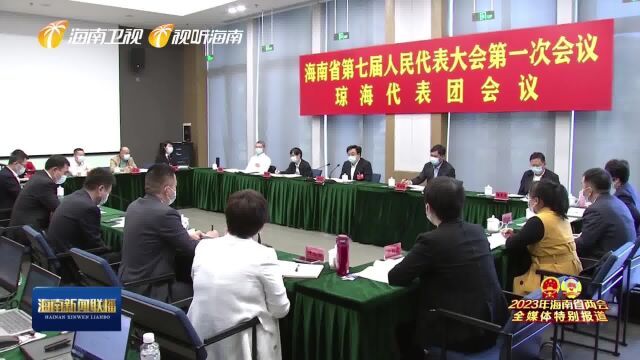 冯飞参加琼海代表团审议审查时指出 在绿色低碳发展中发挥示范引领作用