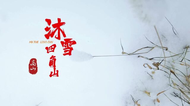 2023年1月14日沐雪四角山——阳泉自由兵俱乐部