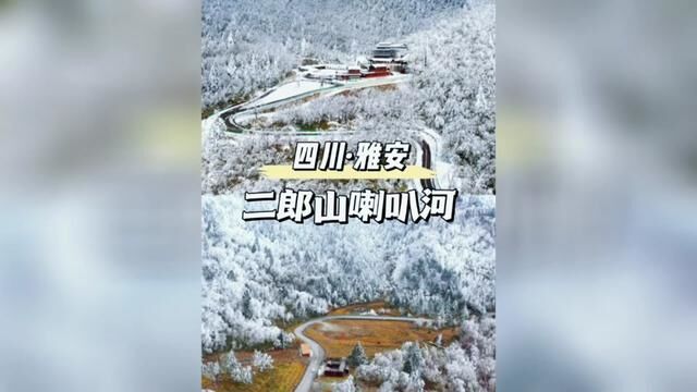 冬天的喇叭河有多美,雪淞、萌鹿、冰瀑、碧湖、森林、云海,这是川西春节旅游必打卡的地方. #打开喇叭河的神仙视角