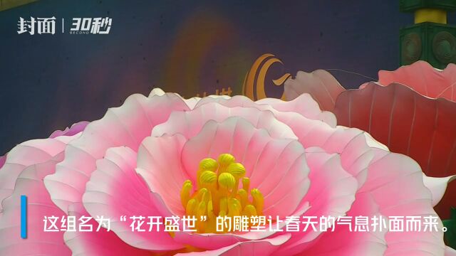 30秒|“花开盛世”!成都天府广场芙蓉花迎春雕塑 等你春节去打卡