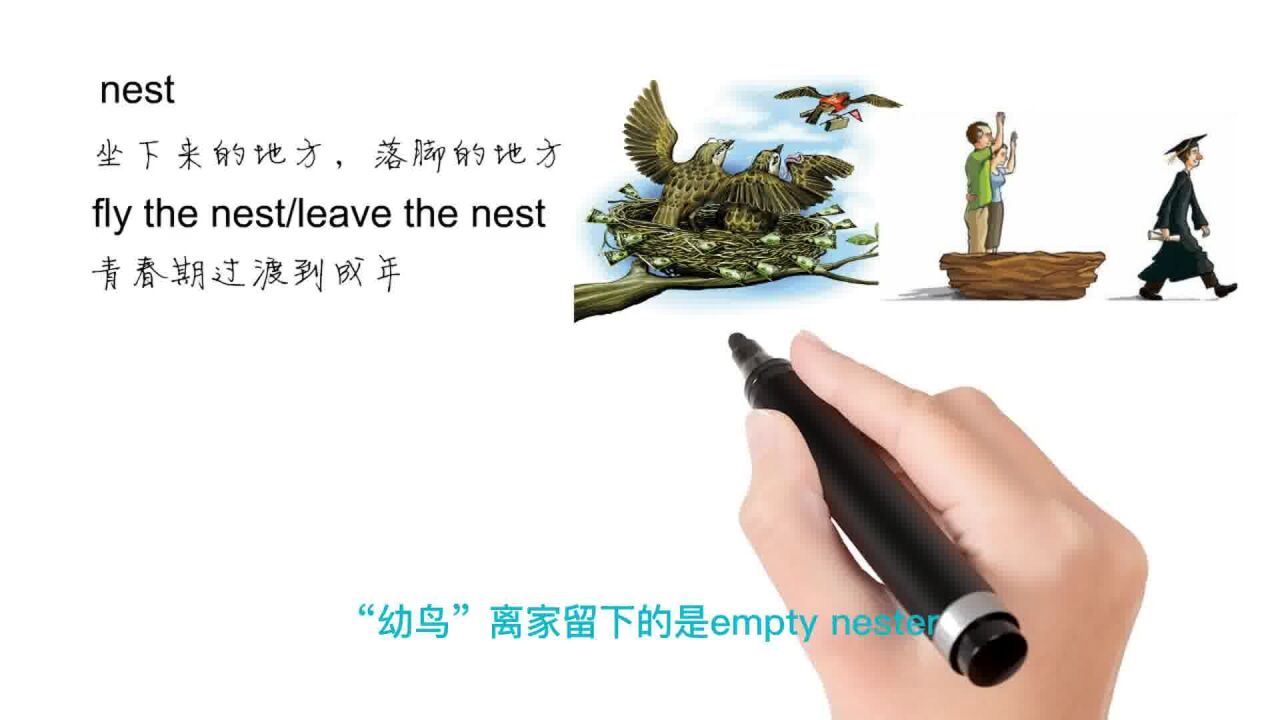 英语思维解密,为什么fly the nest表示开始独立生活,轻松学英语