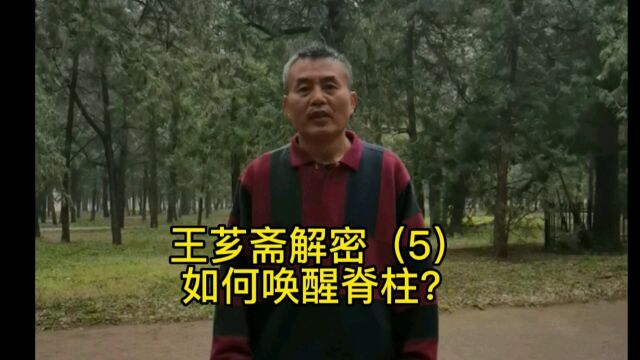 第5集‖王芗斋大成拳解密(五)如何唤醒脊柱