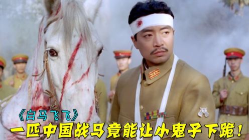 最有血性的中国战马，被俘虏却宁死不屈，小鬼子都为它献上膝盖！