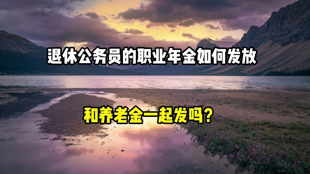 退休公务员的职业年金如何发放呢?会和养老金一起发吗?