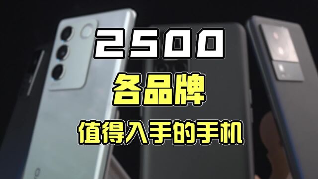 2500预算,各品牌有啥机型你可以选择呢?