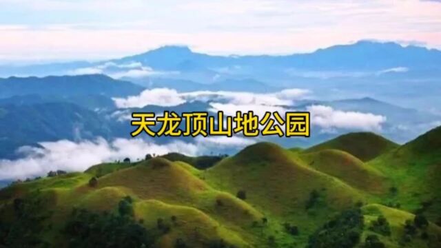 天龙顶山地公园