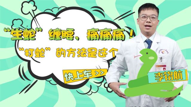 “生蛇”缠腰,痛痛痛!“驱蛇”的方法是这个