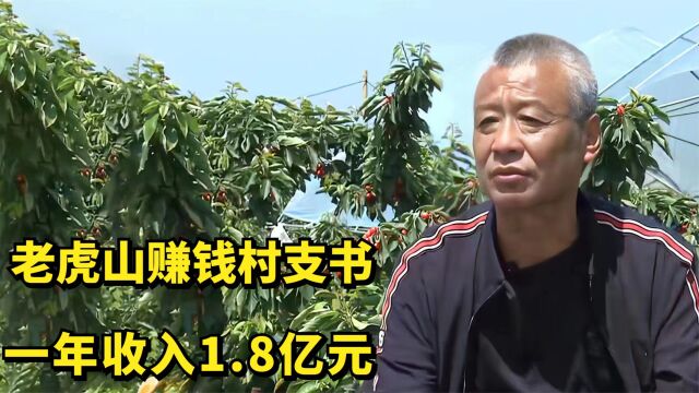 老虎山赚钱村支书,带村民共同致富,种樱桃一年收入1.8亿元