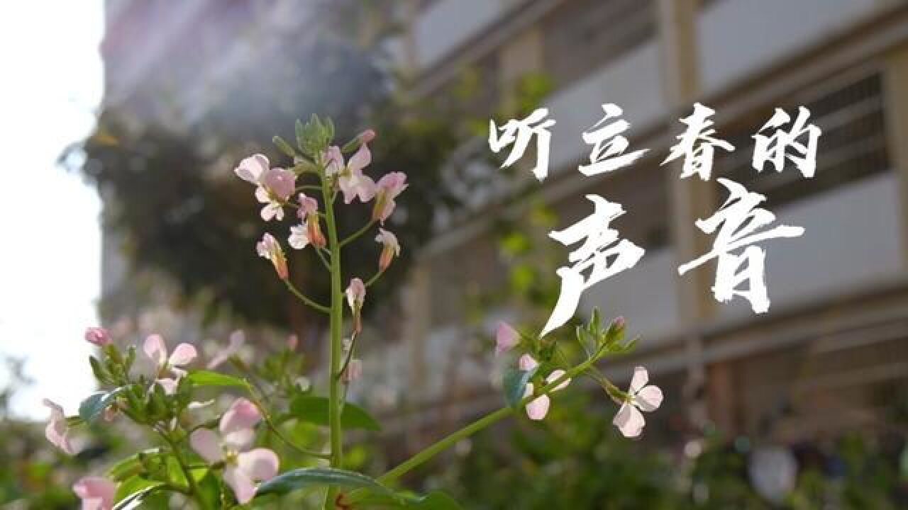 听,的声音,当春运遇上立春,“双春日”欣欣向荣.昆明通信段,向攀,张帆