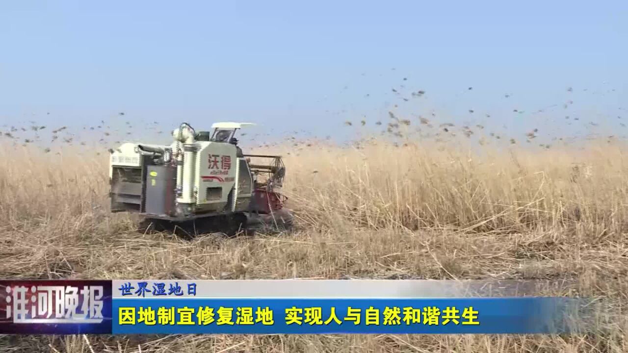 世界湿地日 因地制宜修复湿地 实现人与自然和谐共生