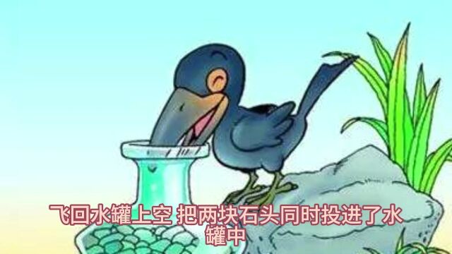 小乌鸦喝水寓言故事