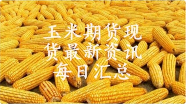 玉米继续上量,供需关系利空