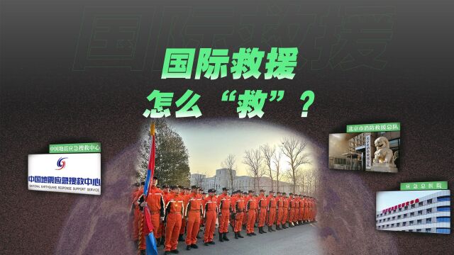 国际救援怎么救?