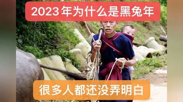 2023年为什么是黑兔年,很多人没弄明白,快来看看吧