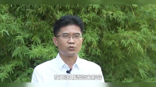 余姚教育界“大地震”?王胜战被查后,还有多少个王胜战躲在暗处