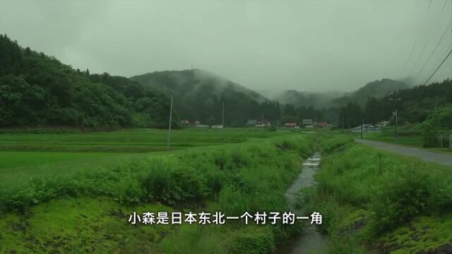 厌倦了城市的生活,不妨停下来,安静地慢煮生活