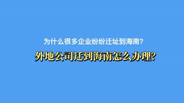 为什么很多企业纷纷迁址到海南?