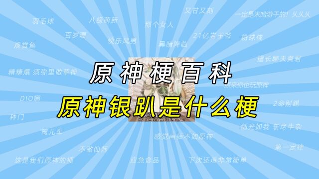 【原神梗百科】原神银趴是什么梗