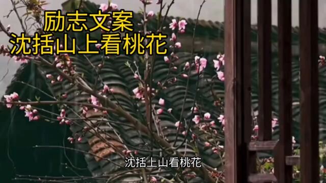 沈括上山看桃花——励志文案