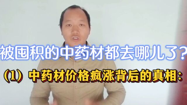 (1)中药材价格疯涨背后的真相:被囤积的中药材都去哪儿了?