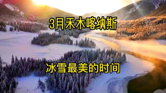 三月,是禾木~喀纳斯,冰雪旅行的最佳时间?丨新疆旅游攻略