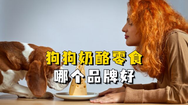 狗狗奶酪零食哪家好?推荐一家好的!