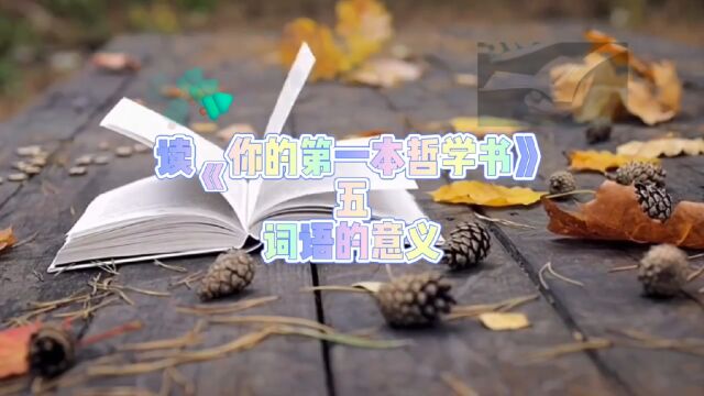 读《你的第一本哲学书》五:词语的意义! #读书 #哲学 #文化