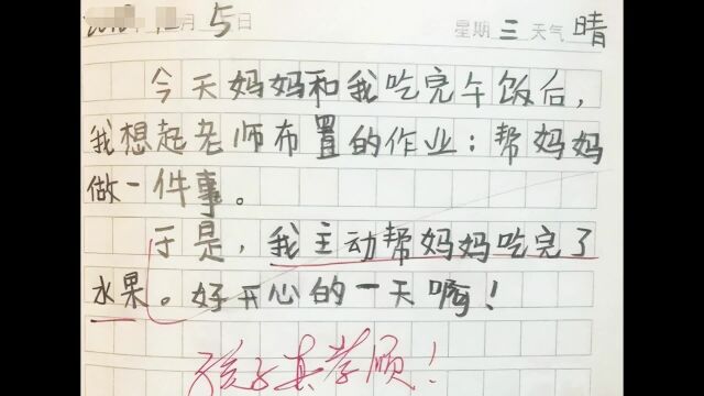 机智如我的小学生作业