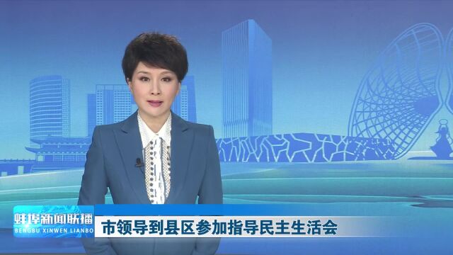 市领导到县区参加指导民主生活会