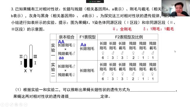 伴性遗传(109)伴性遗传习题讲评(三)