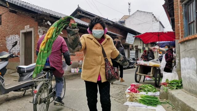 外出打工还是本地求职,中西部地区人们的艰难选择,汉中大叔说