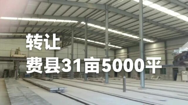 费县转让,31亩,厂房5000平高9米,地面全硬化,房子300多平,有蒸汽,变压器250,靠大路,包改名,罚款已#同城发现