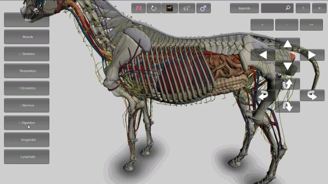 兽医马体解剖软件,3D动物解剖学实验教学软件,马3D使用演示视频