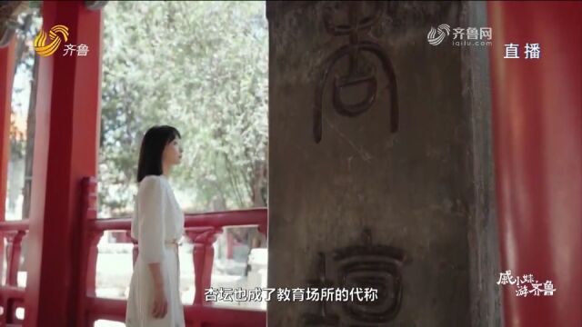 跟着戚小妹游“三孔”,追寻圣人先贤足迹,聚尼山共赴文明之约